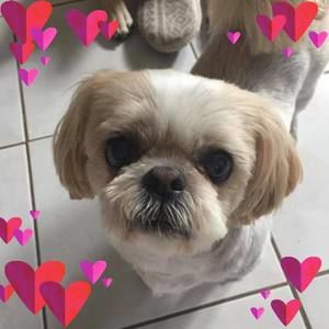 Meet your Posher, Debra